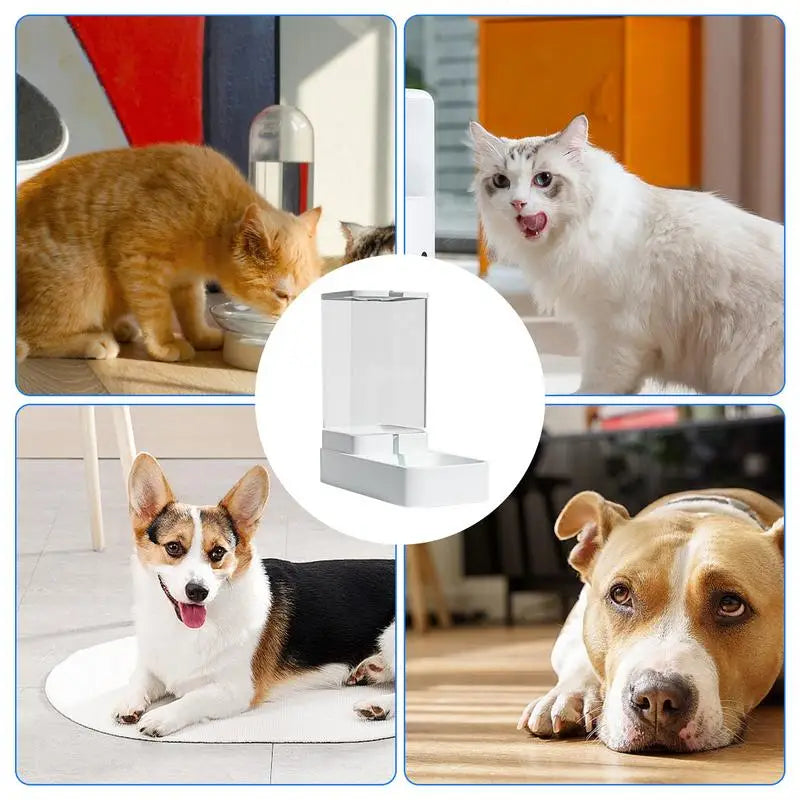 One Gallon Automatic Pet Feeder