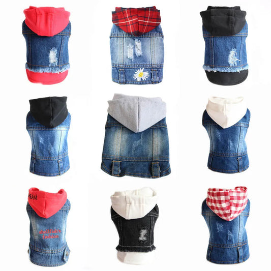 Pet Jackets