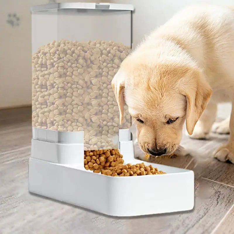 One Gallon Automatic Pet Feeder
