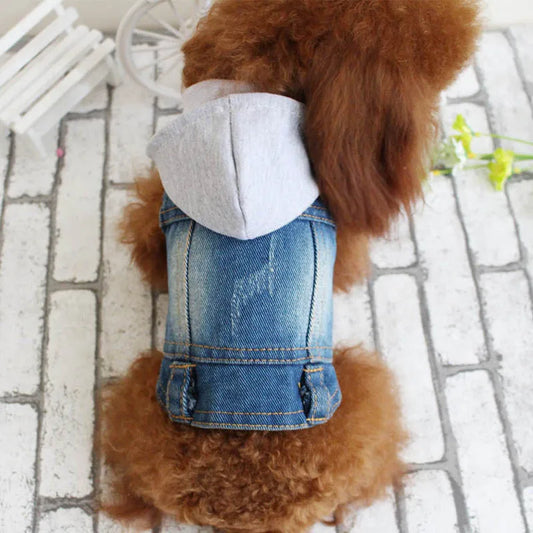 Pet Jackets