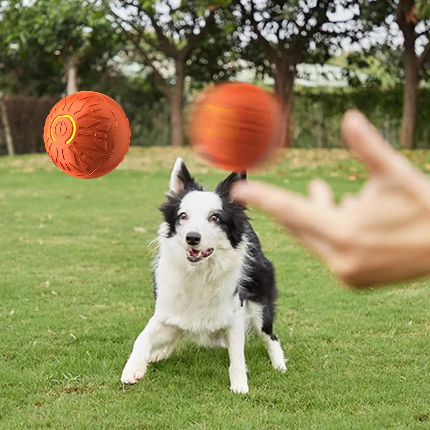 Jumping Ball