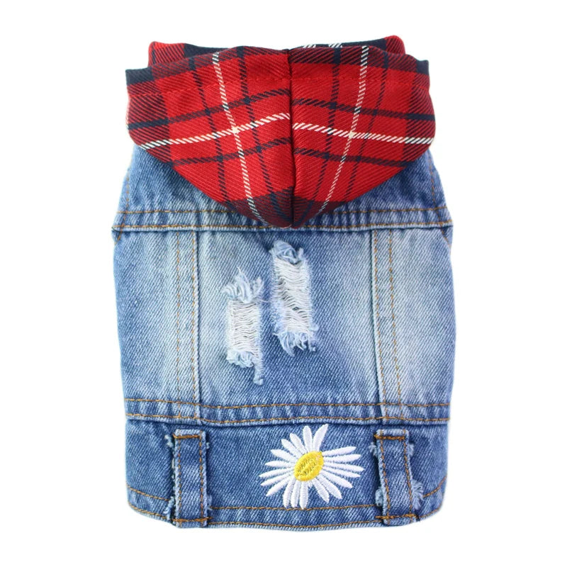 Pet Jackets